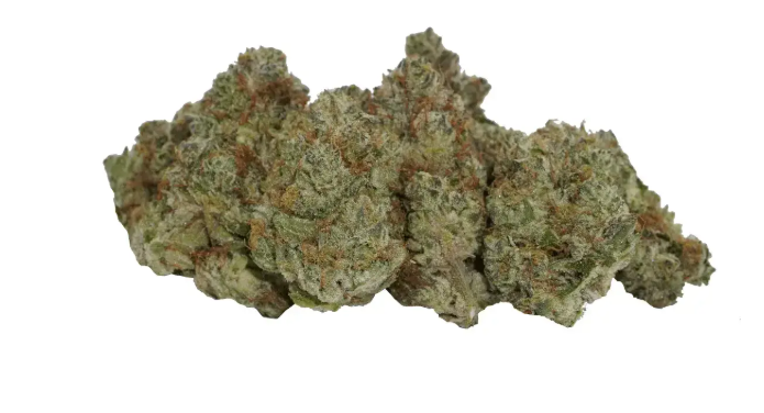 avaay Signature 34/1 OGC