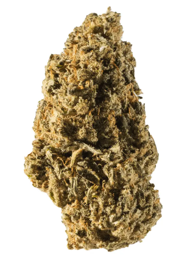 avaay 12/8 CAN Cannatonic