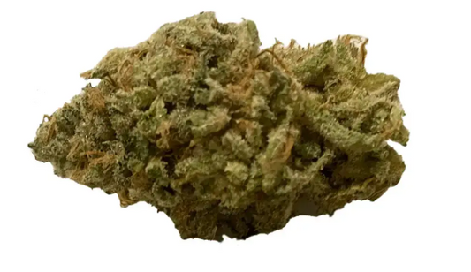 420 Evolution 30/1 FLM CA